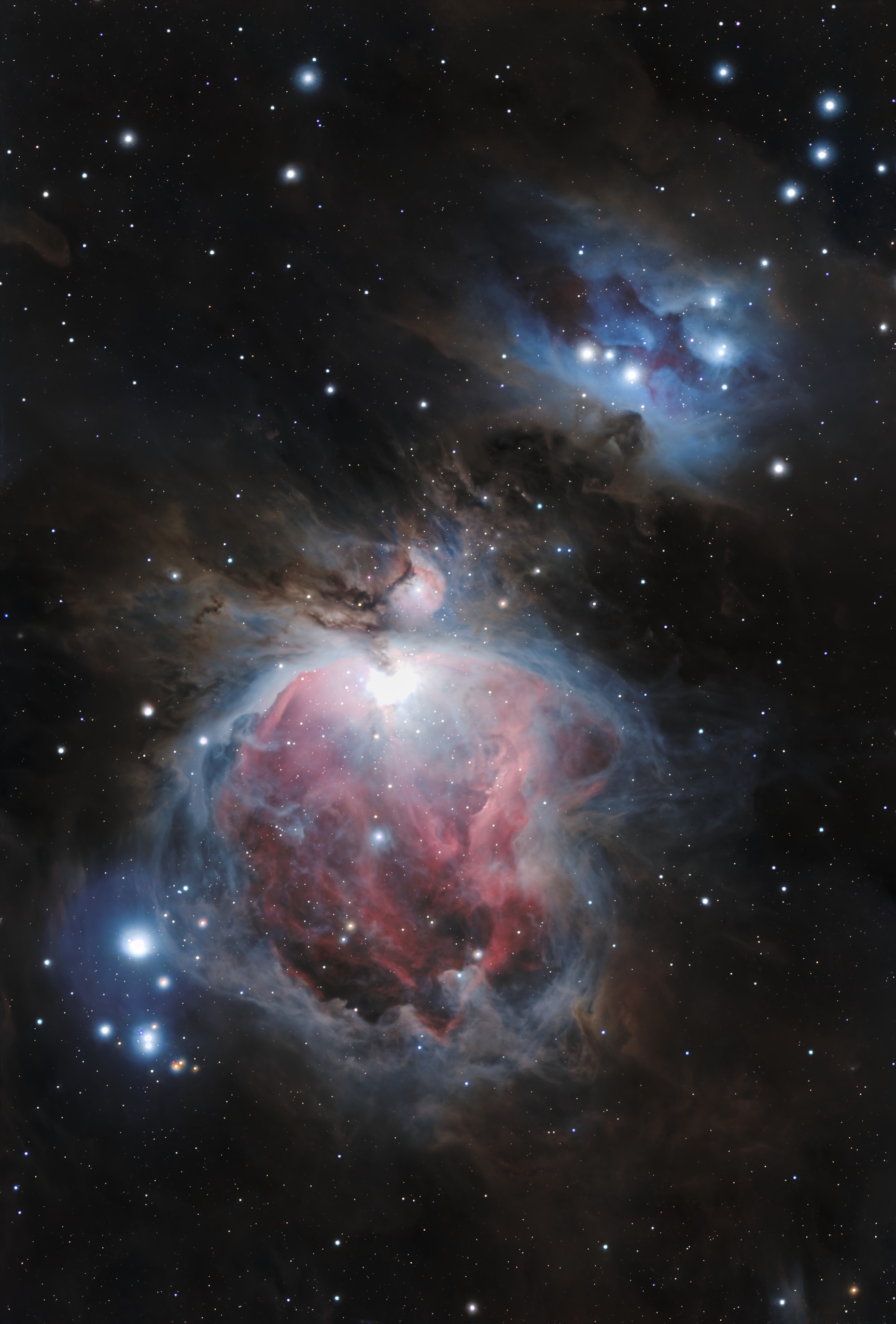 M 42 Nebuleuse d'Orion, 43x300s - Askar 71F et ASI585MC