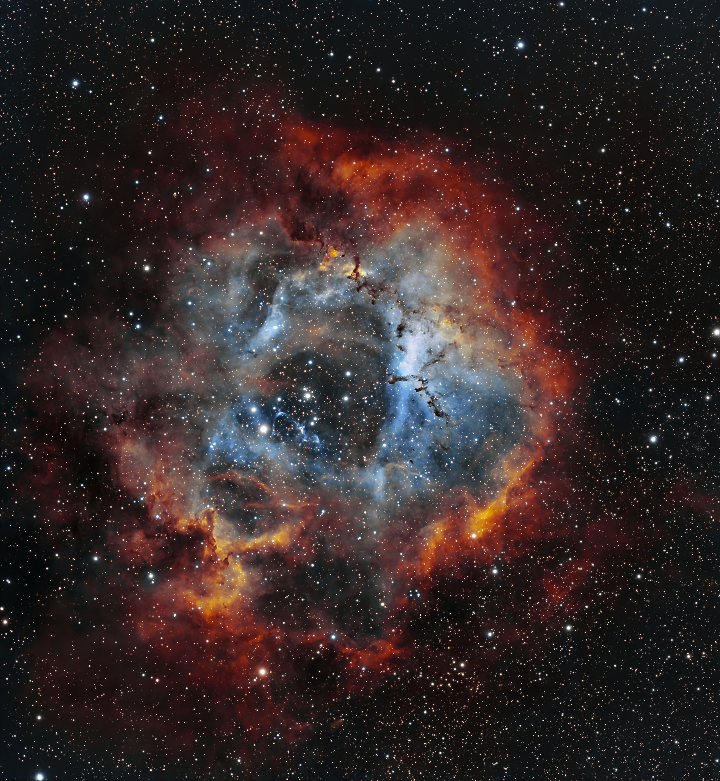 NGC 2237 Nebuleuse de la Rosette, 38x300s - Askar 71F et ASI585MC